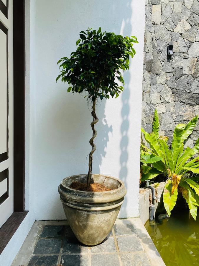 Thaprobana Villa Tangalle - Private Villa Exteriör bild